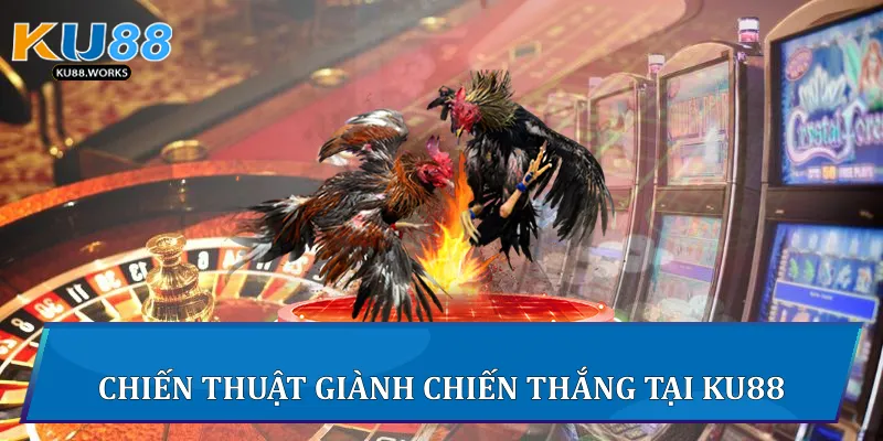 Chiến thuật giành chiến thắng tại Ku88