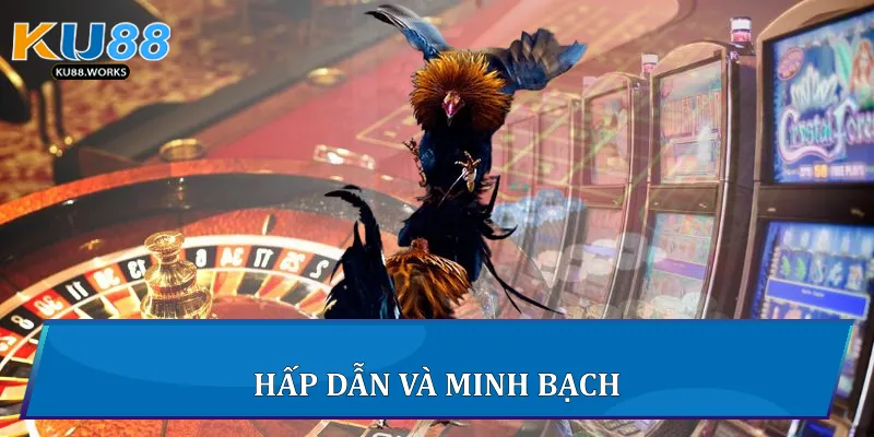 Hấp dẫn và minh bạch