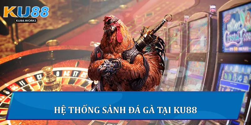 Hệ thống sảnh Đá gà tại Ku88