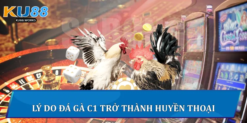 Lý do đá gà C1 trở thành huyền thoại