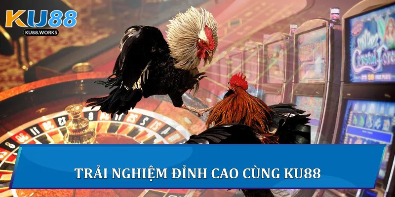 Trải nghiệm đỉnh cao cùng Ku88